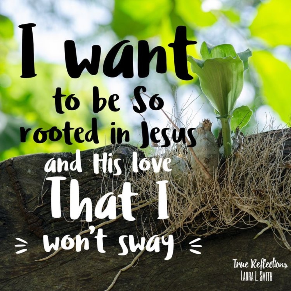 Stay rooted in the Lord! These times may shake us but w the Lord we won’t fall!